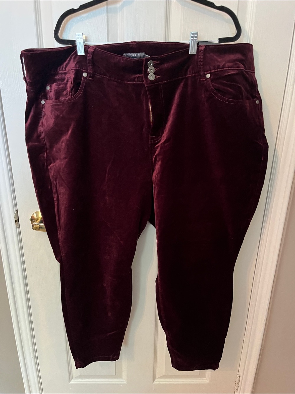 torrid Velvet Skinny Pants in Burgundy